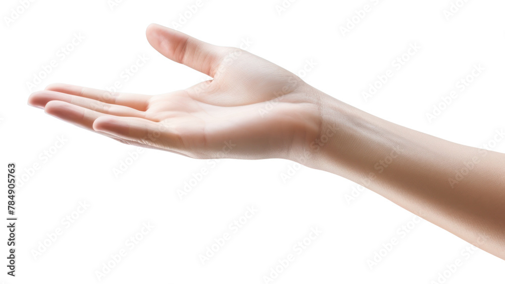 PNG Hand finger person adult