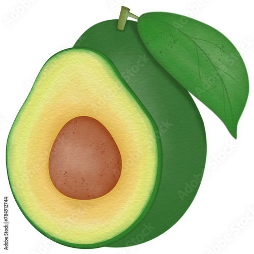 Avocado drawing with watercolor
