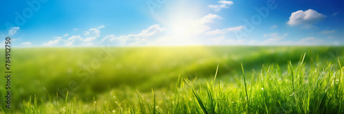 Green grass and blue sky with clouds. Panoramic background. © Mariusz Blach