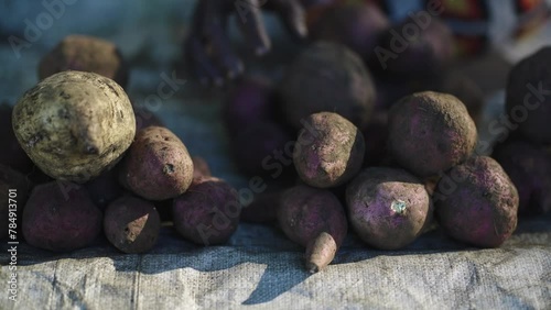 Bunches of freshly harvested sweet potatoes or kumara for sale at the market.