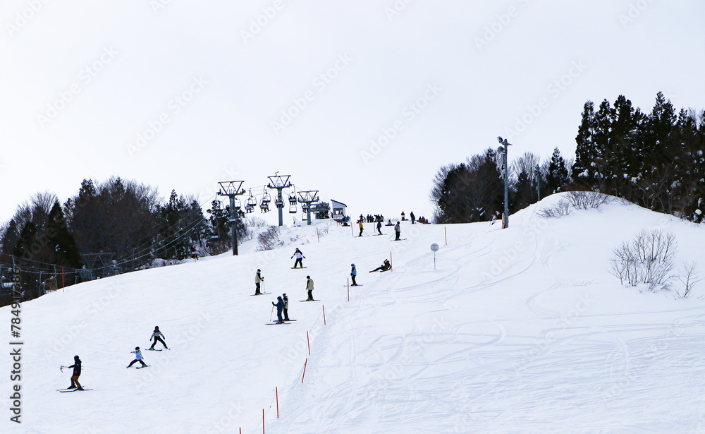 Ski field large white snow on slopes. Ski slopes snow. Winter banner panorama of slope at ski resort, people skiing, surrounded by pine trees, blue sky. Tourists come to play winter sports. Ski field large white snow on slopes. Ski slopes snow. Winter banner panorama of slope at ski resort, people skiing, surrounded by pine trees, blue sky. Tourists come to play winter sports.