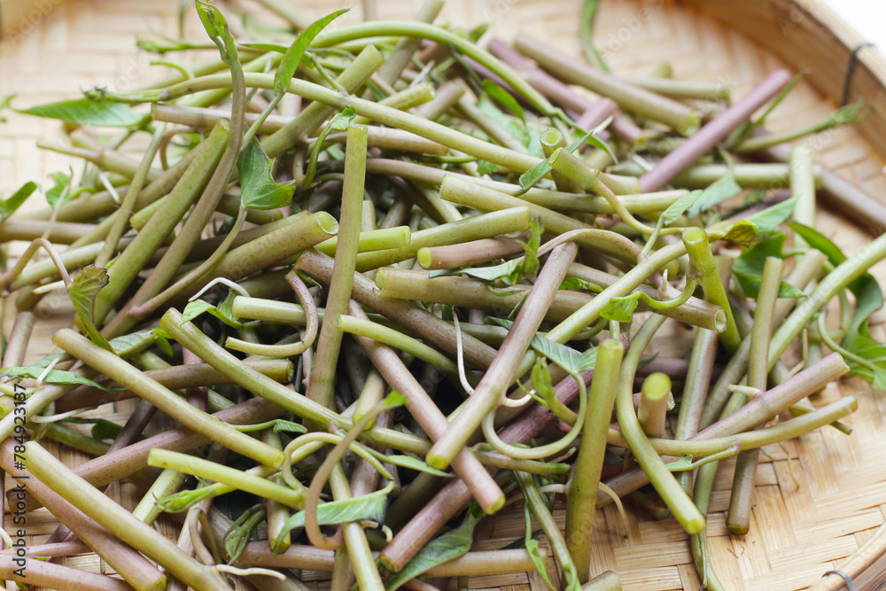 Water convolvulus or water spinach Water convolvulus or water spinach