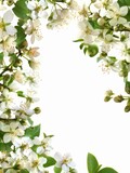 Delicate Jasmine Floral Design with Blank Space for Text