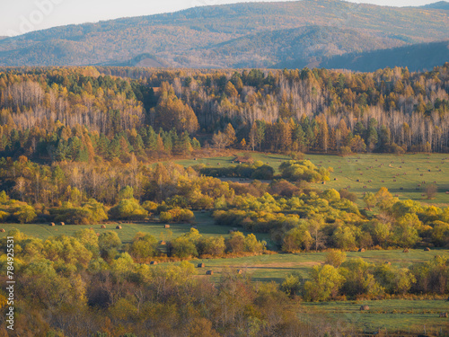 Autumn landscape in Hulun Buir, Inner Mongolia, China.