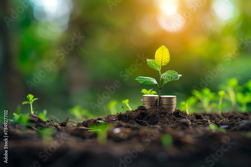 The small saplings that grow with stack of coins include the yellow light flooding the trees, business ideas, saving money, and economic growth.