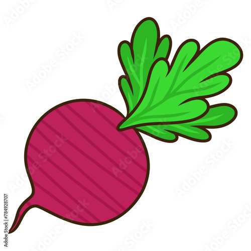 illustration of a beetroot. beet vegetable cartoon