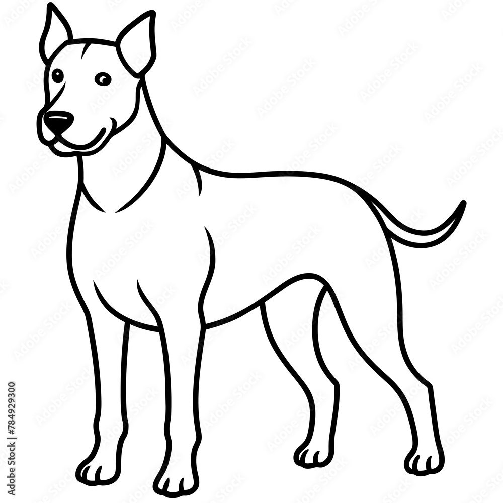 illustration of a dog