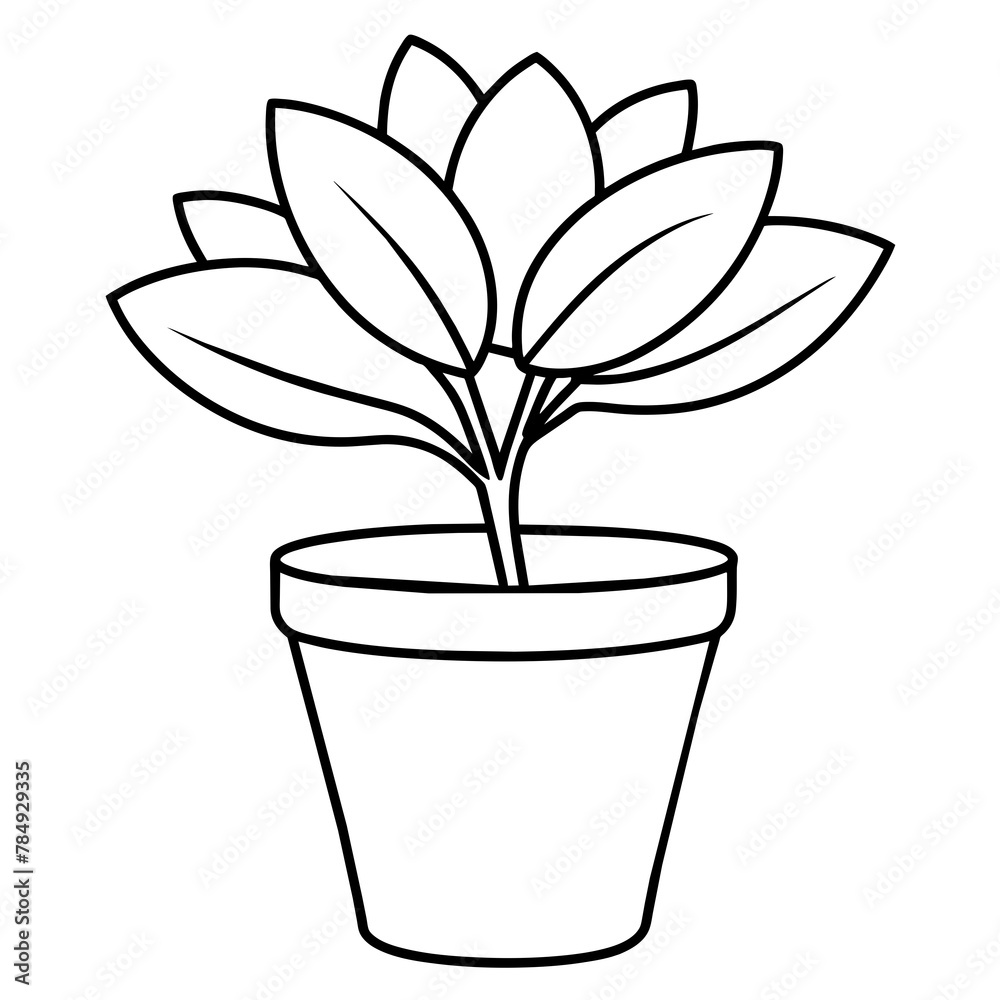 plant in a pot plant in a pot