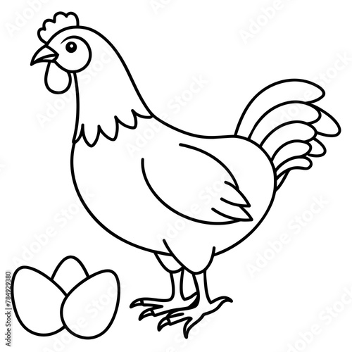 Chicken with eggs vintage by line illustration vector set  © bizboxdesigner