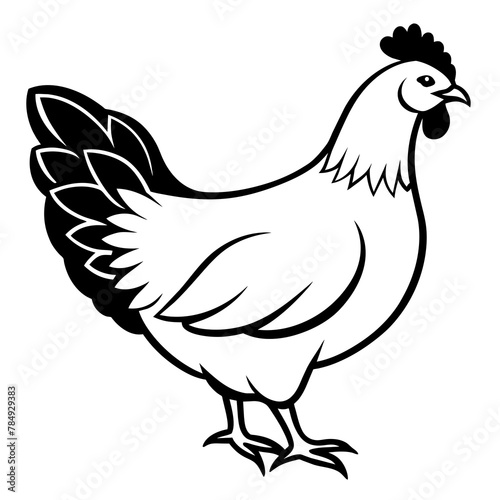 Chicken with hen line vintage illustration vector