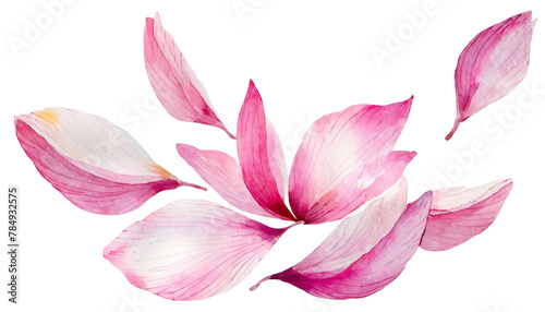 flying pink petals isolated on white background cutout; watercolor hand painted; clipping path