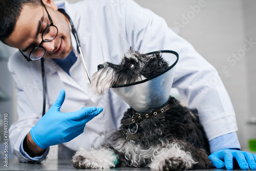 Veterinarian with trustful dog in plastic collar with fixed paw at the clinic