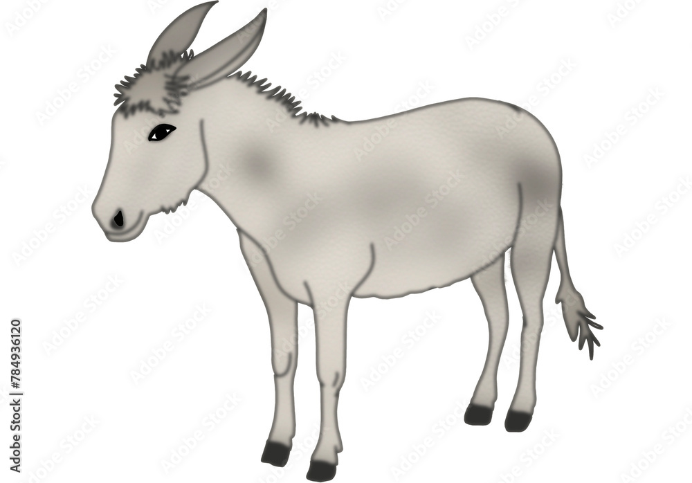 Fototapeta premium Donkey illustration