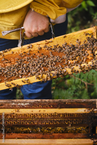 Beekeeper's hand holding the frame of a hive with bees on it.