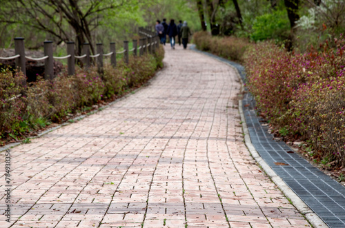 View of the paved walkway in the park