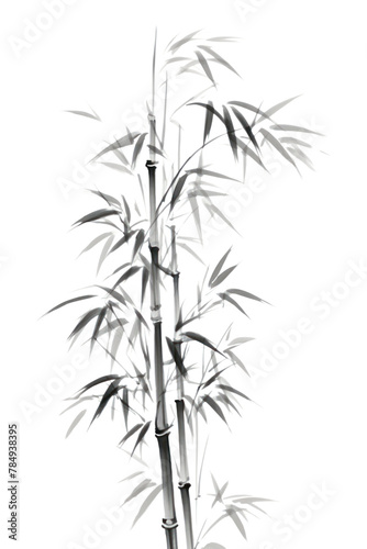 PNG  Bamboo leaves plant drawing branch