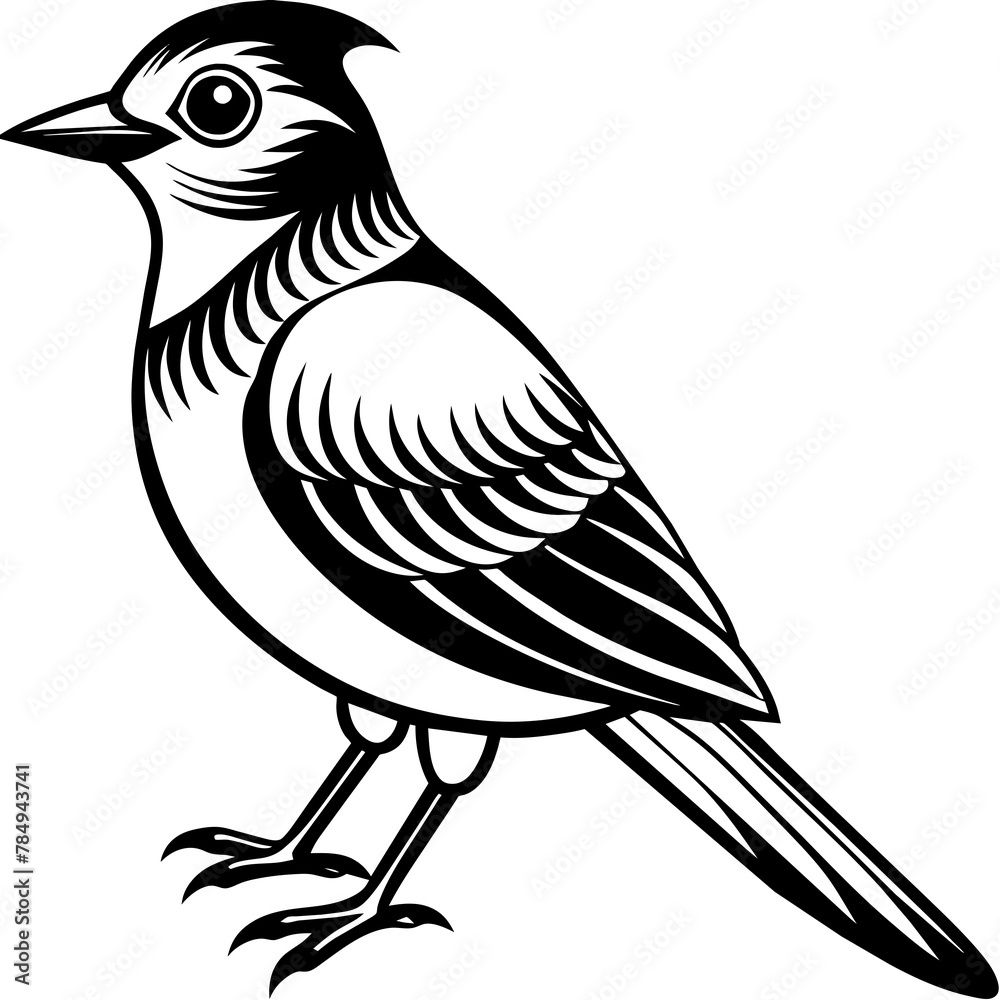 Naklejka premium Bird vector illustration. 