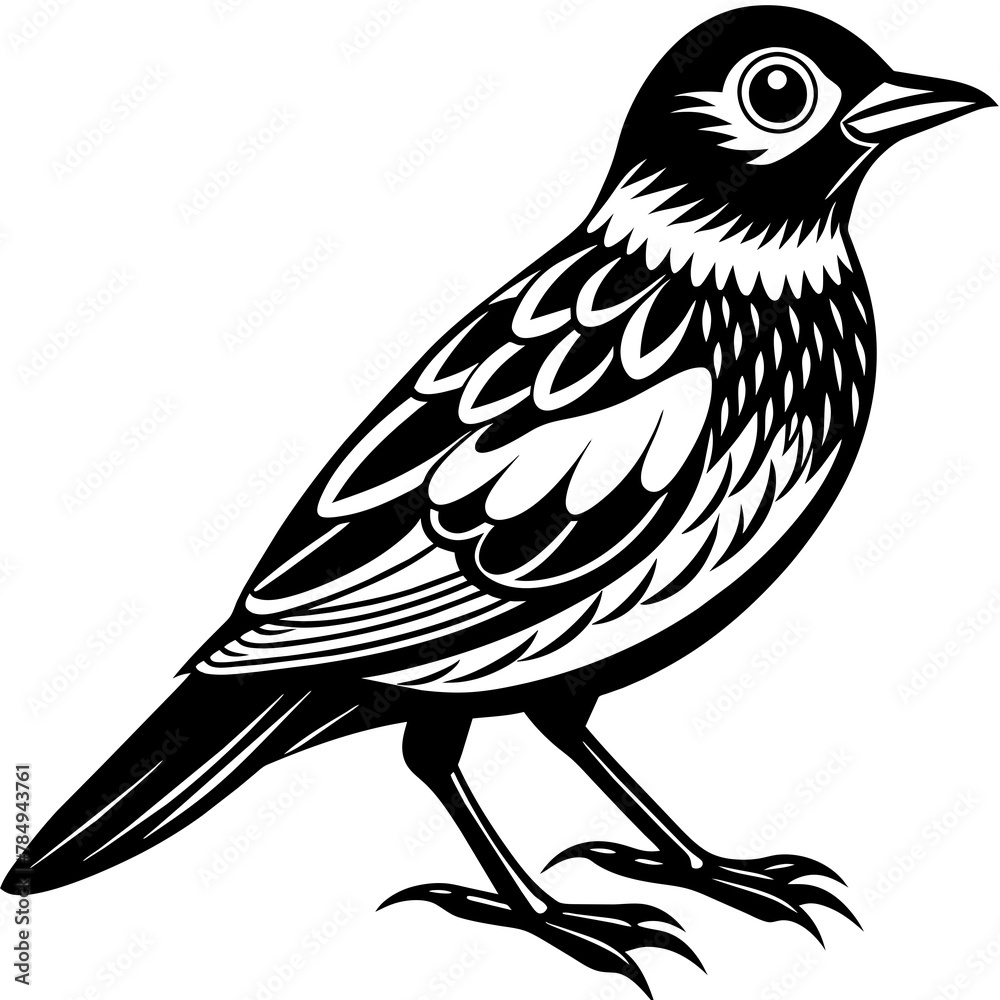 Obraz premium Bird vector illustration. 