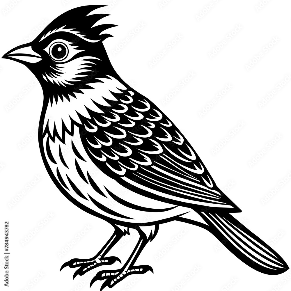 Obraz premium Bird vector illustration. 
