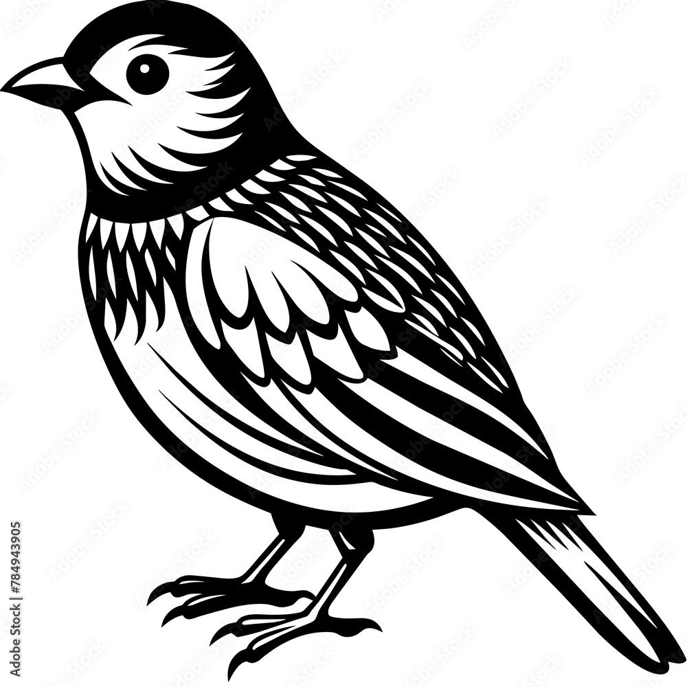 Fototapeta premium Bird vector illustration. 