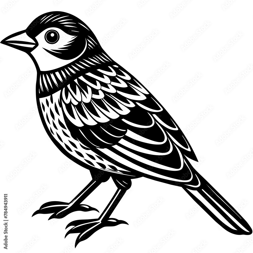 Obraz premium Bird vector illustration. 