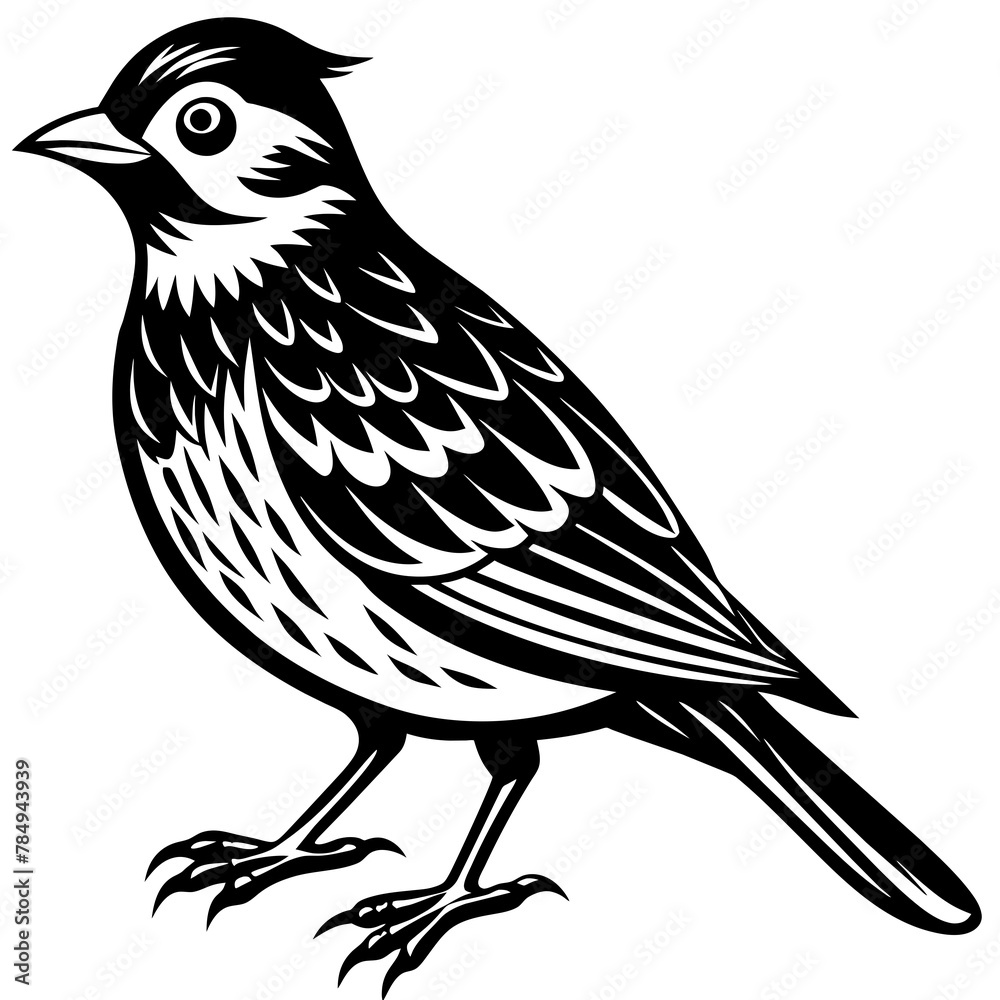 Fototapeta premium Bird vector illustration. 