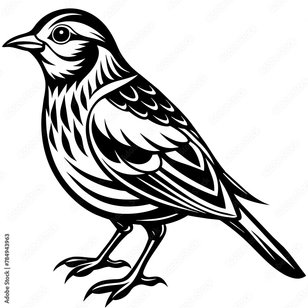 Fototapeta premium Bird vector illustration.