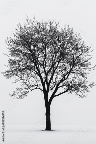 A tree is standing alone in a snowy field