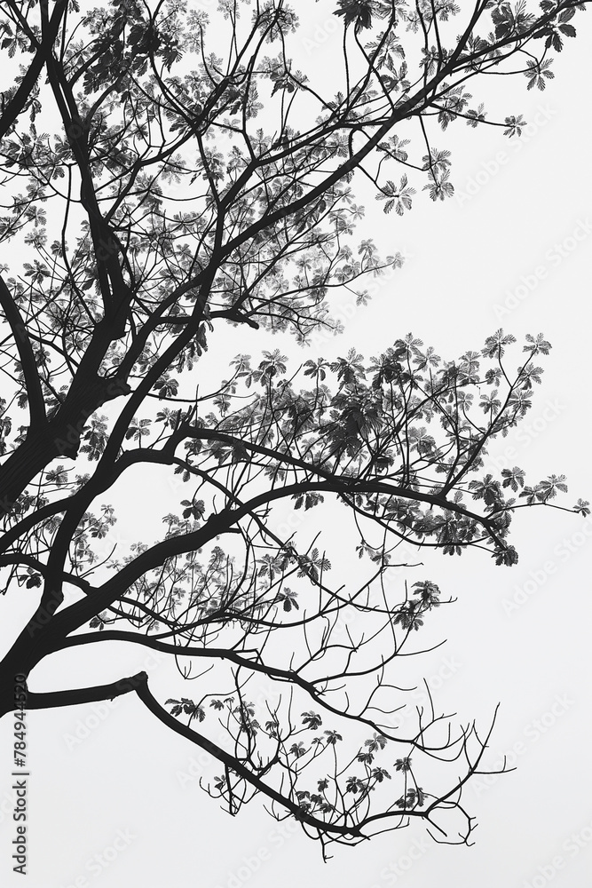 A tree is depicted in black and white, with no leaves or branches