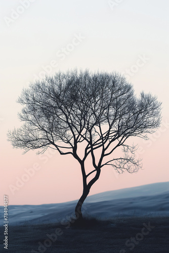 A tree is depicted in black and white, with no leaves or branches © Anek