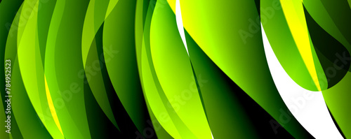 Closeup of green and yellow banana leaves on a white background, showcasing the intricate patterns and shades of terrestrial plants in their natural environment