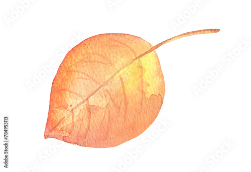 Watercolor fall birch tree leaf isolated. Hand drawn autumn illustration