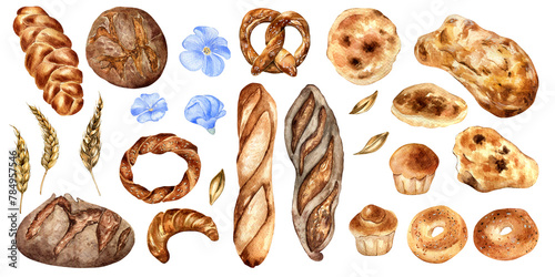 Set of different kinds bread watercolor isolated on white. Rye bread, pitta hand drawn. Challah, bagel scetch. Illustration of simit, baguette. Flax and ear of wheat for bakeshop, packaging, menu