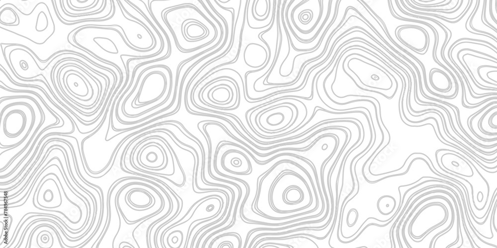 Abstract topographic map background. Geographic topography structure. blank detailed topographic contour map subtle. vector illustration background.