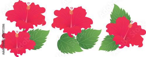 Beautiful red hibiscus flowers on white background. Vector set of blooming tropical floral for holiday invitations, greeting card and fashion design.