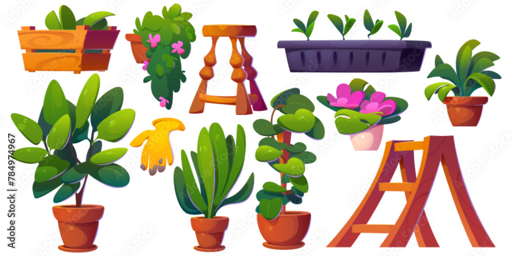 Home garden interior with plant and flower in pot set. Indoor greenhouse room decor with shelf and flowerpot icon collection. Sprout and ficus design for store patio or terrace with houseplant. - obrazy, fototapety, plakaty 
