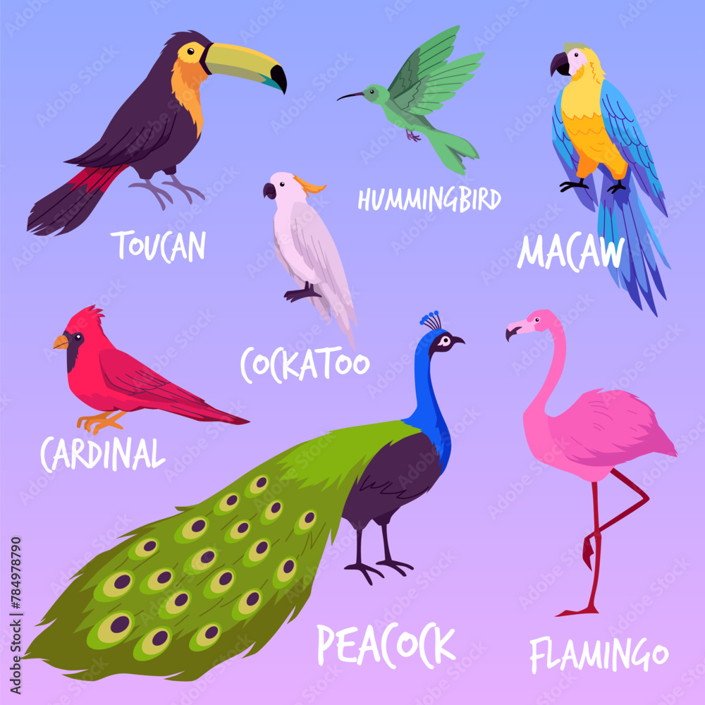 Obraz premium Set of wild exotic bird flat vector illustrations isolated on background.