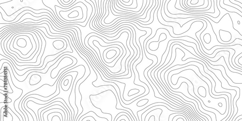 White contours topology topography vector