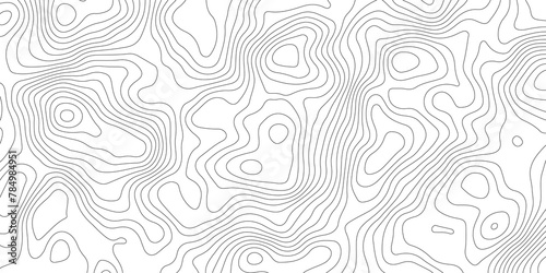 White contours topology topography vector