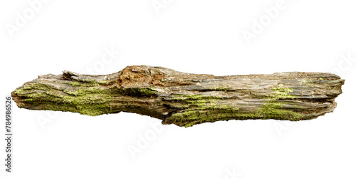 Rotten branch with green moss isolated on white