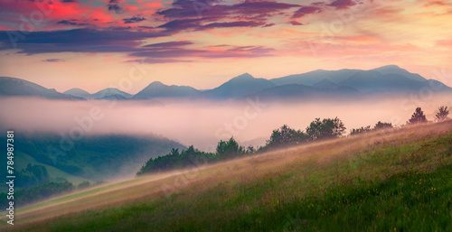Panoramic summer view of misty rolling hills. Misty morninig scene of Carpathian mountains at June, Ukraine, Europe. Beauty of nature concept background.