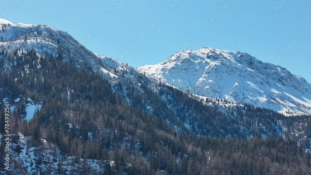Snowy Alaskan Mountains with trees Snowy Alaskan Mountains with trees