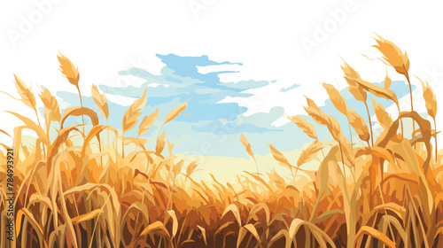 A field of cornstalks swaying in the breeze with ears photo
