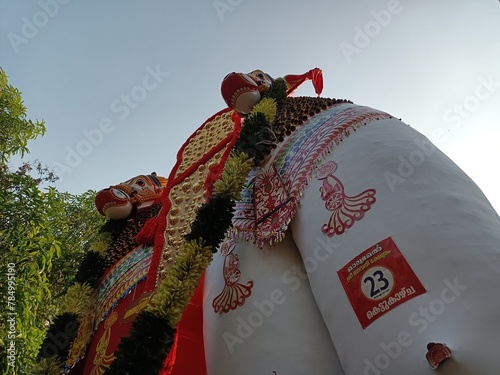 Bullock effigies in the onam festival.
Involvement, culture. photo