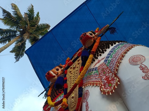 Bullock effigies in the onam festival.
Involvement, culture.