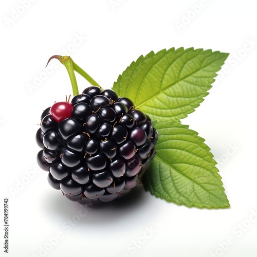 Blackberry isolated on white background