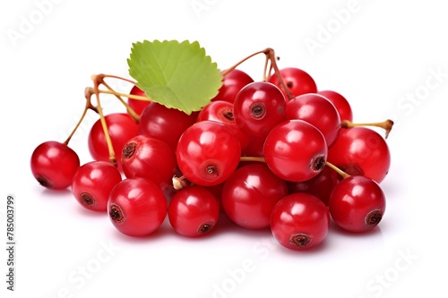 Cranberrys isolated on white background