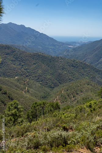 Landscape of Sierra de las Nieves 