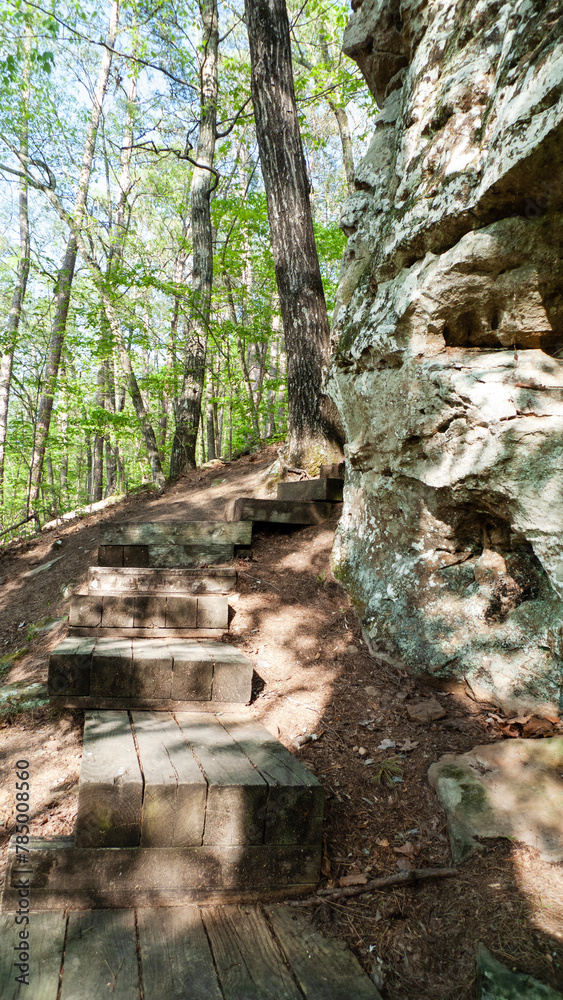 Steps along the trail at Shoal Bay campground leading down the mountain