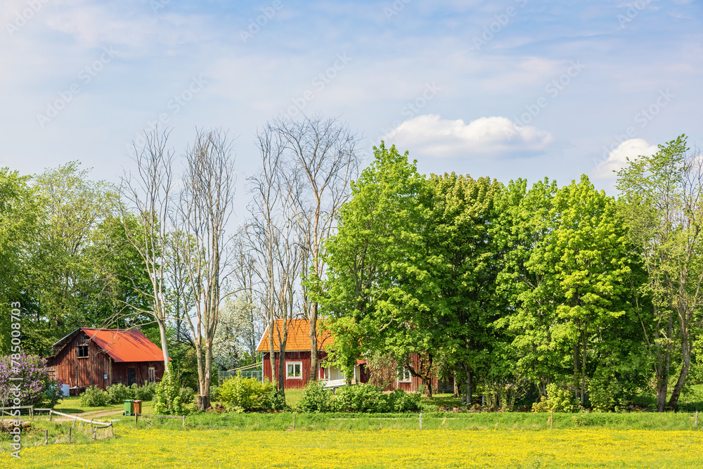 Red cottage in the countryside on a sunny summer day - obrazy, fototapety, plakaty 
